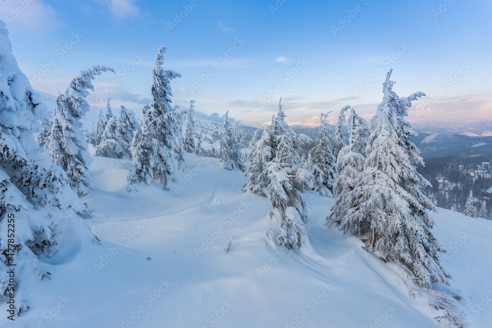 Fantastic evening winter landscape