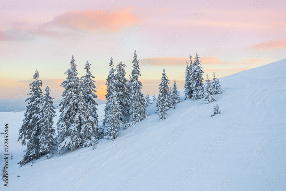 Fototapeta premium beautiful sunset in the sunny foothills of the Alps affects the viewer's imagination