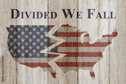 Cuadro en lienzo Divided we fall message