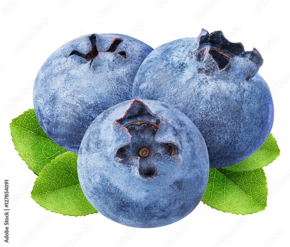 Obraz premium ripe blueberrys isolated on white background