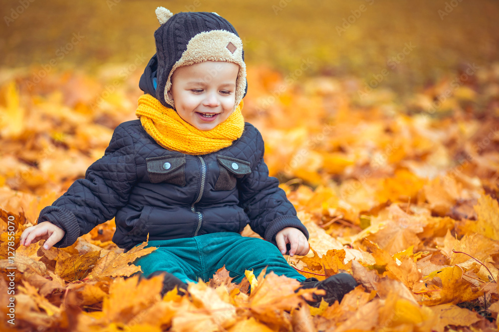 little boy in autumn park little boy in autumn park