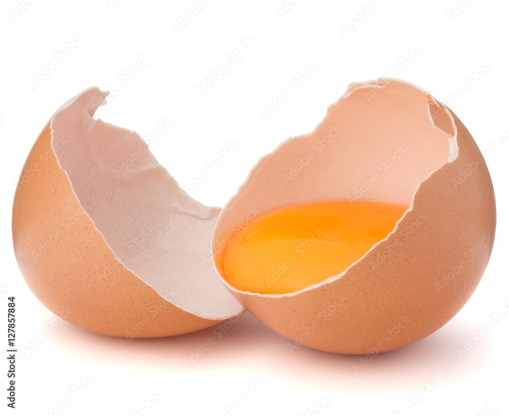 Broken egg in eggshell half isolated on white background cutout Broken egg in eggshell half isolated on white background cutout