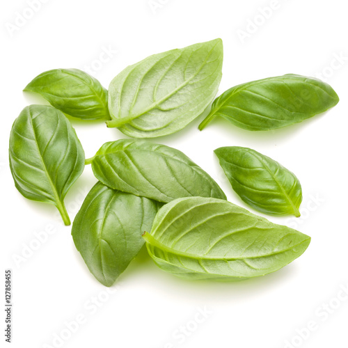 Sweet basil herb leaves handful isolated on white background clo