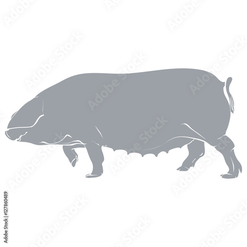 Template pig- gray.