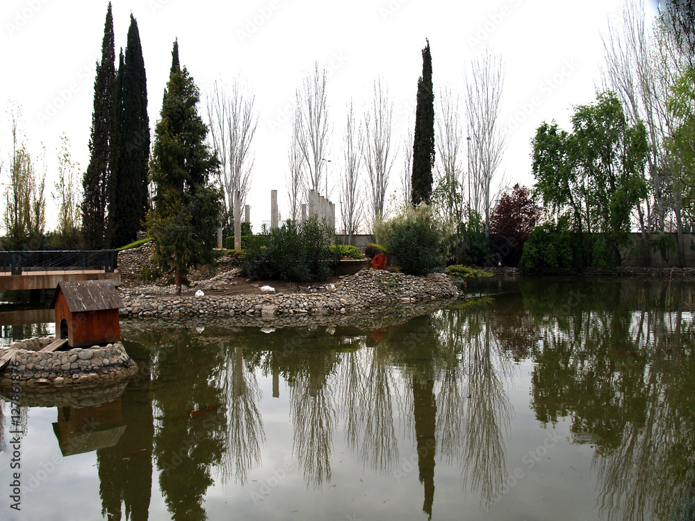 Obraz premium ducks pond