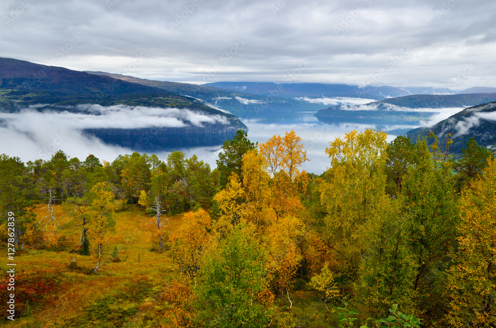 View of the fjord (Innvikfjorden) from a mountain. Autumn in Norway. 