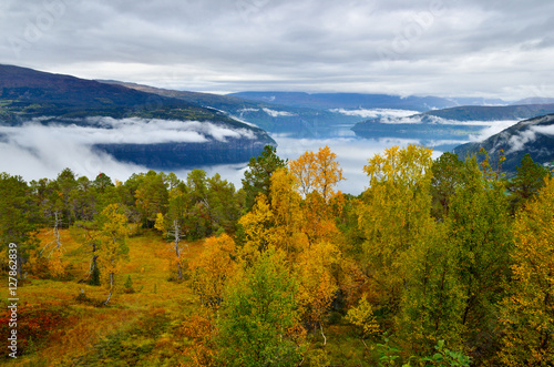 View of the fjord  Innvikfjorden  from a mountain. Autumn in Norway. 
