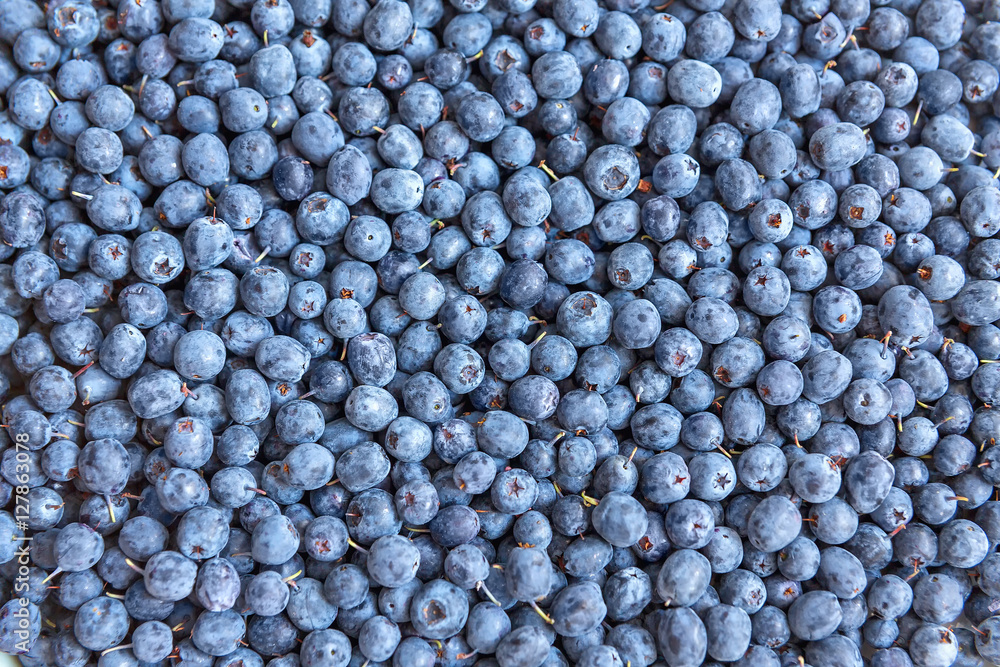 food background with berries blueberries. Blueberries are scattered on the surface. Forest berry blueberries. Growing in a swamp in the middle lane. Botany, medicine, cooking. food background with berries blueberries. Blueberries are scattered on the surface. Forest berry blueberries. Growing in a swamp in the middle lane. Botany, medicine, cooking.