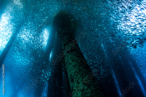 Fish Ball on oil rig