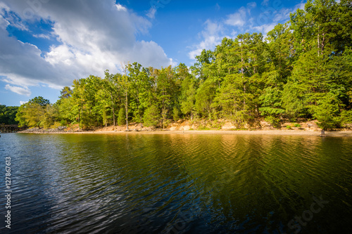 Lake Wylie, at McDowell Nature Preserve, in Charlotte, North Car photo
