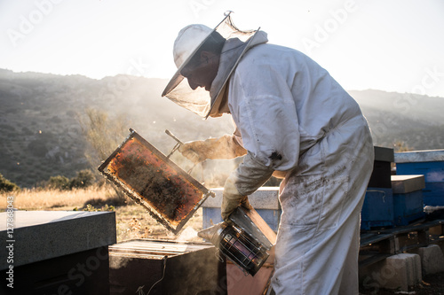 Apicultor trabajando con abejas