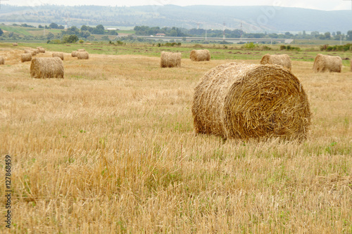 Countryside hay bales
