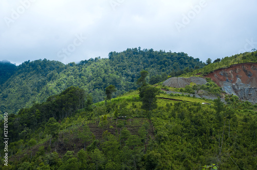 Foggy summer morning in the green mountains. landscape in Guatemala, Alta Verapaz.