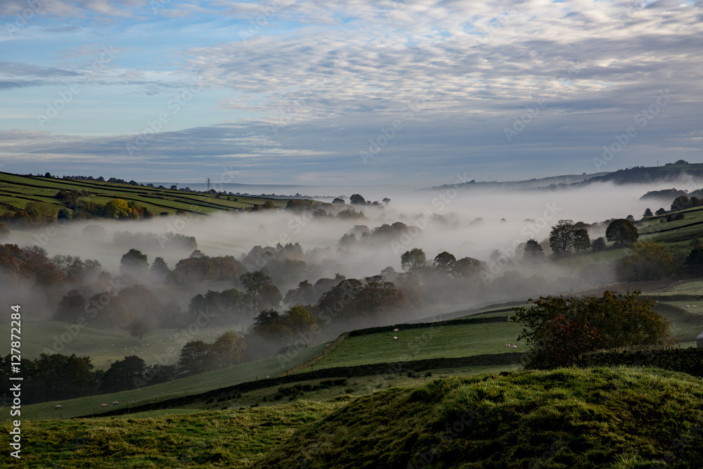 Yorkshire Mist