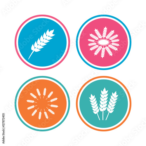 Agricultural icons. Gluten free or No gluten signs. Wreath of Wheat corn symbol. Colored circle buttons. Vector