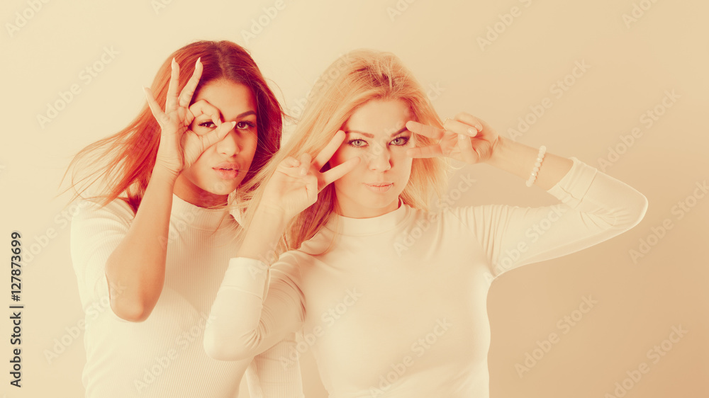 Two crazy girls playing around together. Two crazy girls playing around together.