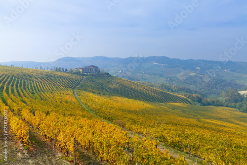 View on vineyards and small houses on the hill in Piedmont  Italy