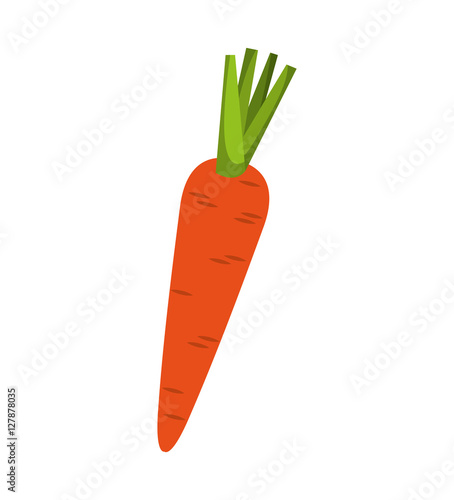vegetarian product healthy food vector illustration design