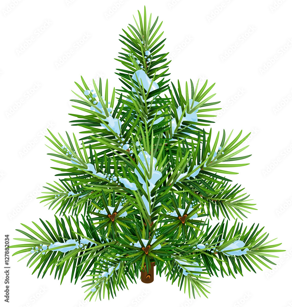 Green fluffy Christmas pine tree in snow Green fluffy Christmas pine tree in snow