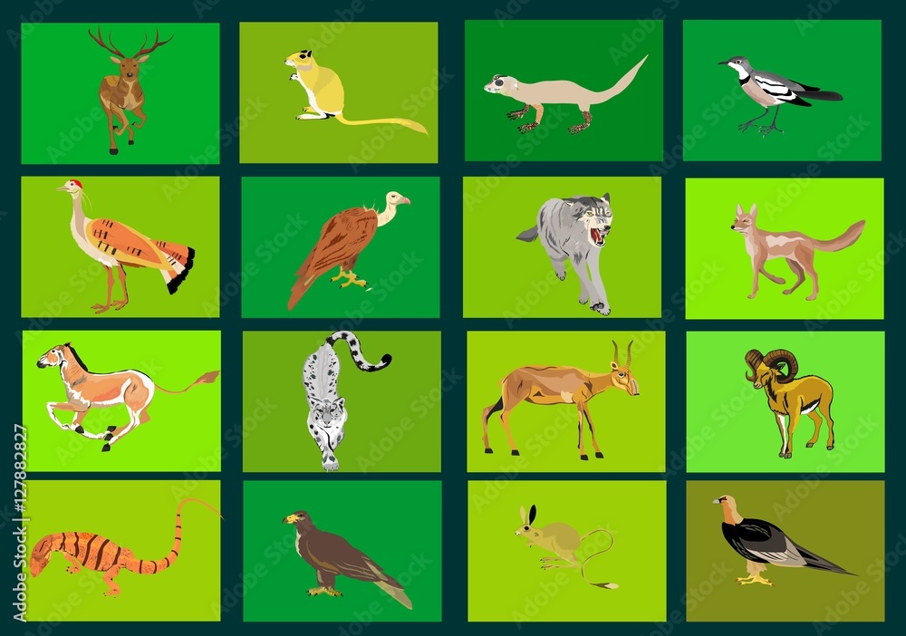 Kazakhstan animals and birds vector collection set. Animals icons Stock Vector | Adobe Stock Kazakhstan animals and birds vector collection set. Animals icons Stock Vector | Adobe Stock