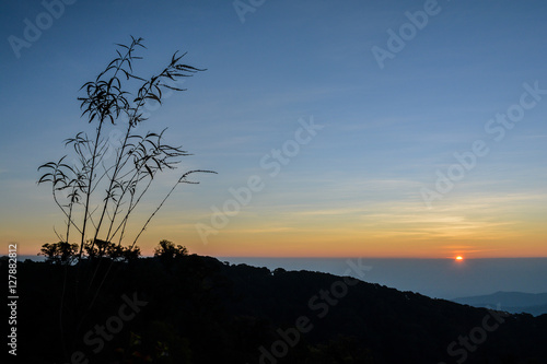 Silhouette tree with mountain view and sunrising sky.
