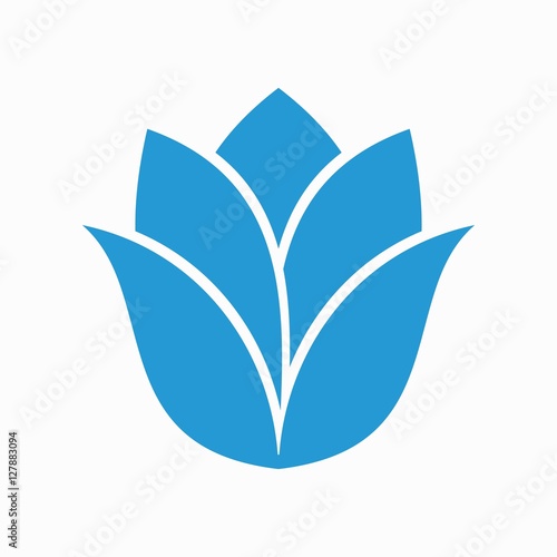 Tulip logo design, tulip vector, tuli design