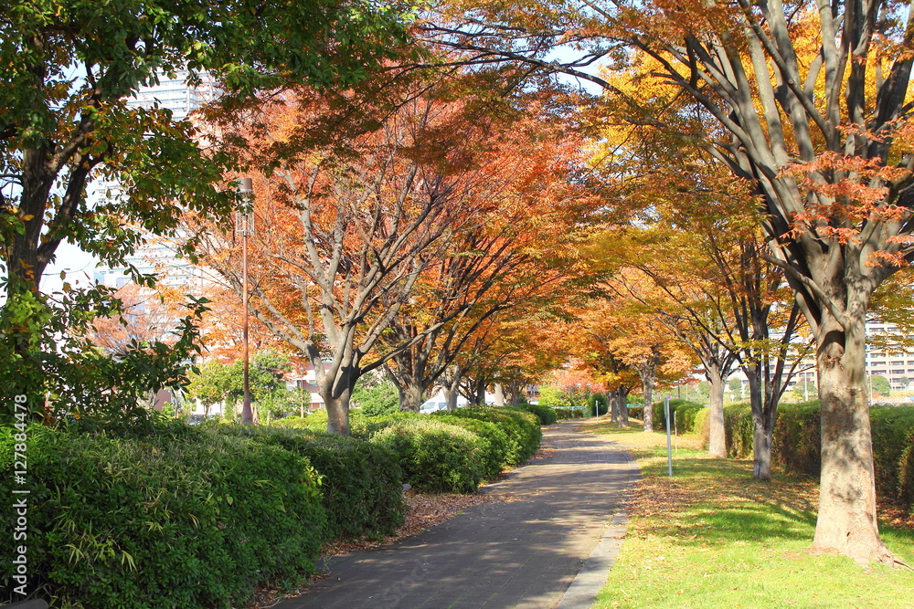 Naklejka premium 辰巳の森海浜公園