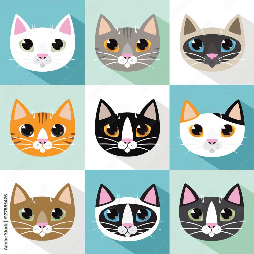 Cats Breeds Vector Cats Breeds Vector