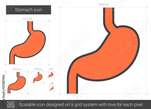 Stomach line icon.