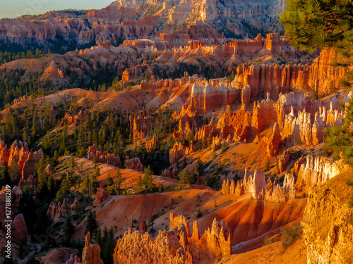 Bryce Canyon Hoodoos in the morning