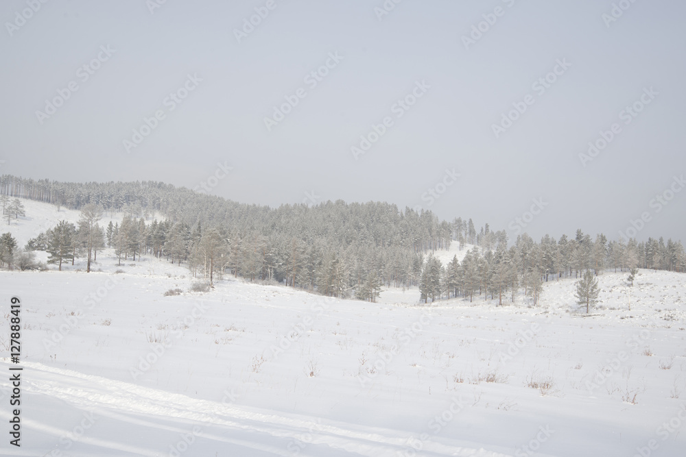 Beautiful scenery of a winter forest. Beautiful scenery of a winter forest.