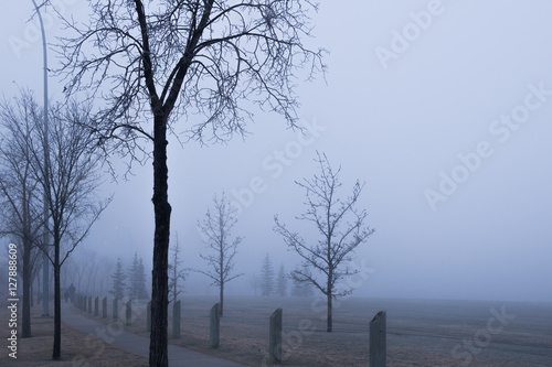 Foggy morning