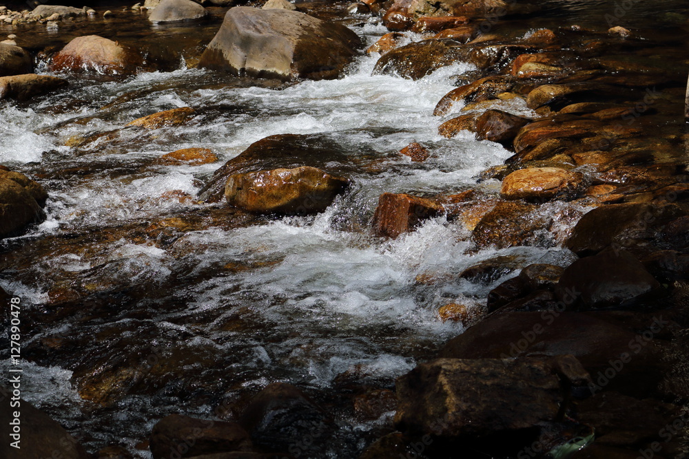 River stream in southern India