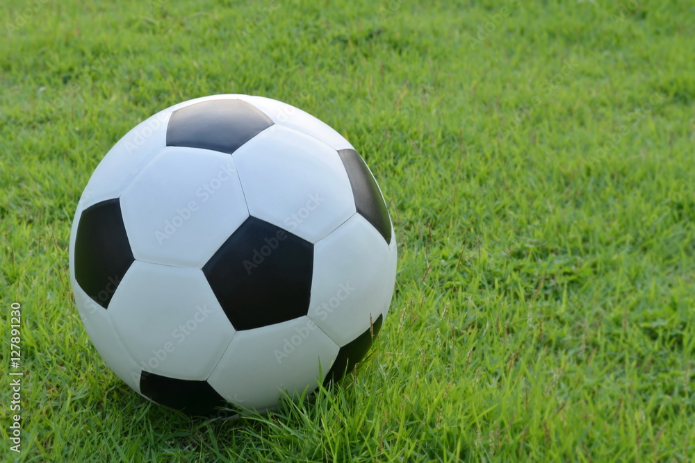 Football or soccer ball on the lawn,outdoor activities. Football or soccer ball on the lawn,outdoor activities.