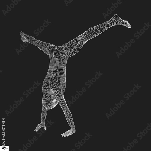 Gymnast. 3D Model of Man. Human Body Model. 