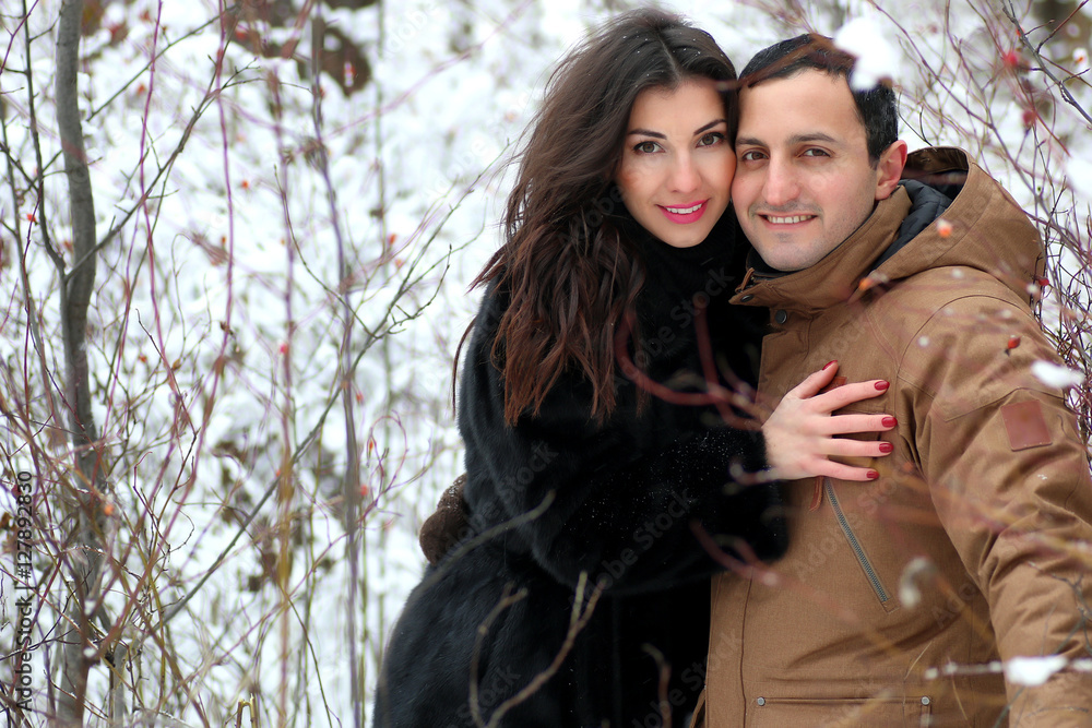 beautiful young couple in a snowy park wrapped beautiful young couple in a snowy park wrapped