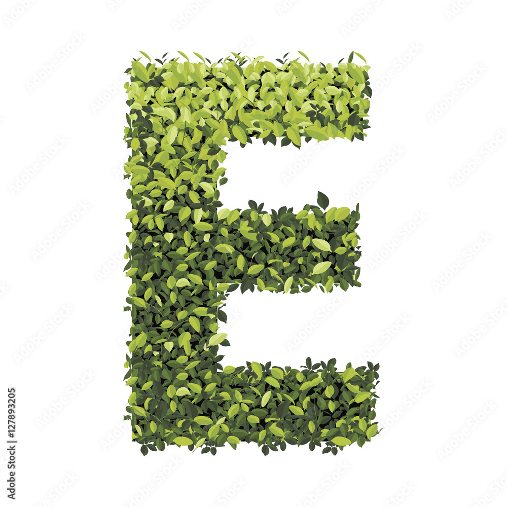 Alphabet of green leaves collection. Vector illustration. Alphabet of green leaves collection. Vector illustration.