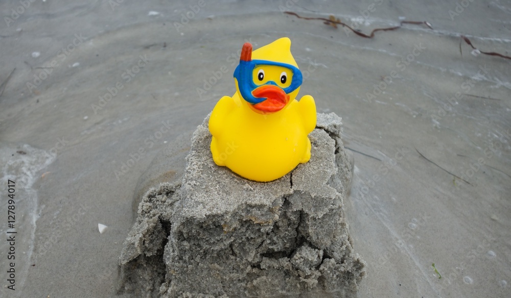 Obraz premium Plastikente am Strand