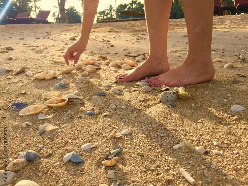 picking sea shell at the beach Stock Photo | Adobe Stock