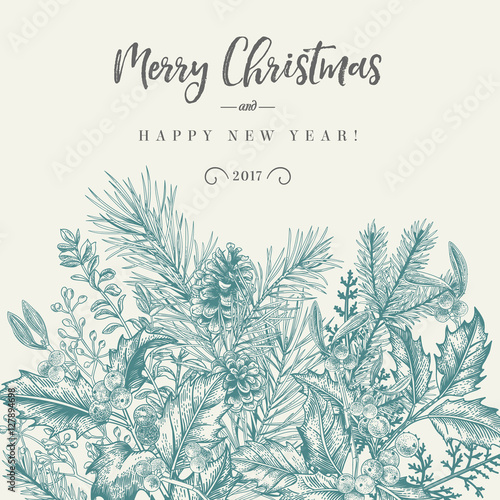 Border with Christmas plants.