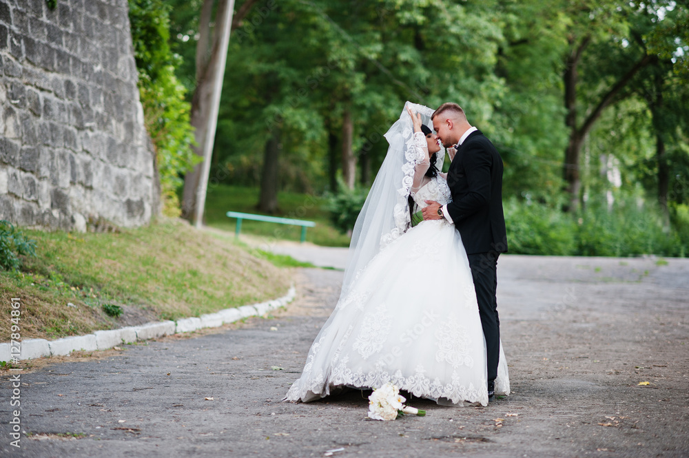 Likable wedding couple stay and kisses under veil at park.