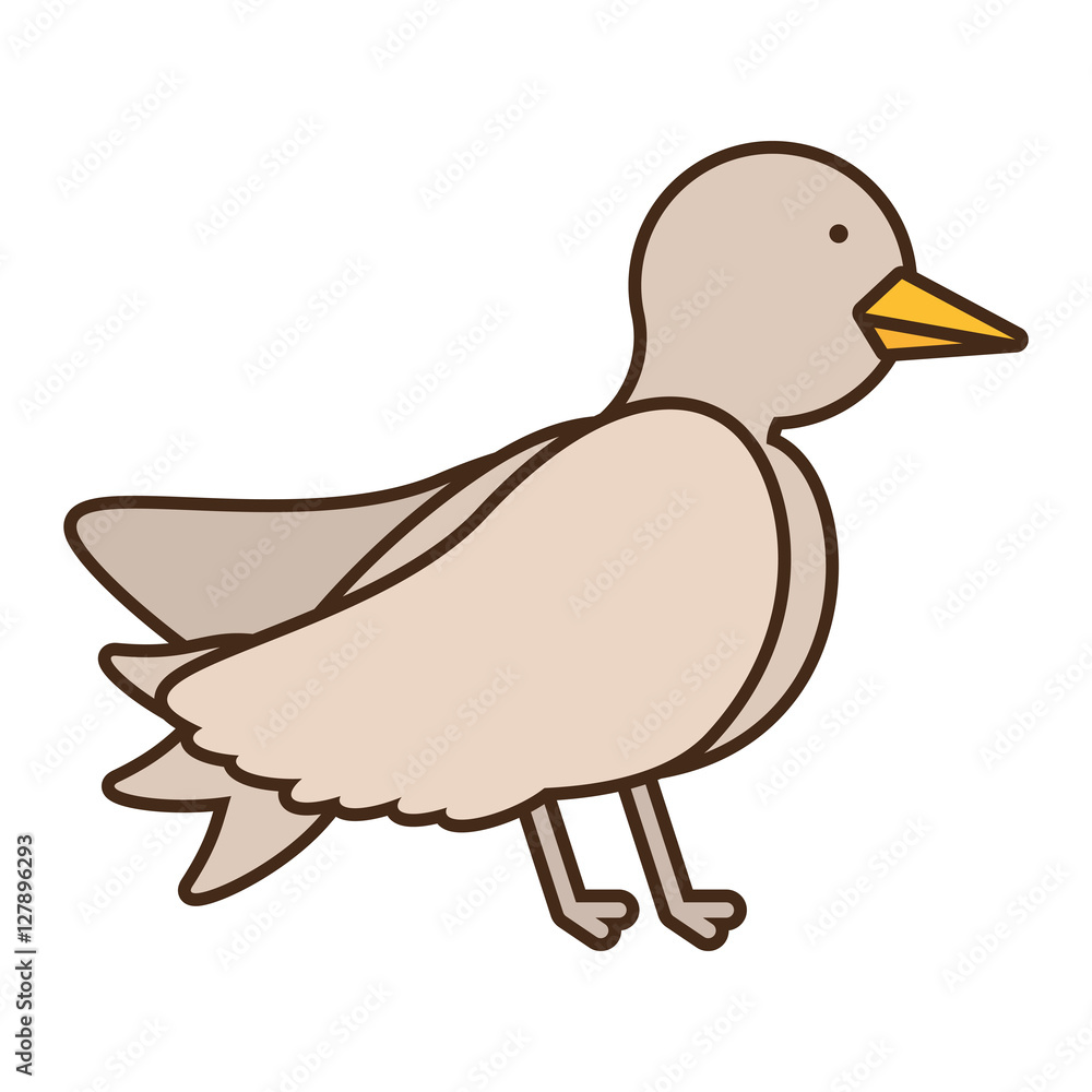 Obraz premium drawing dove wedding icon vector illustration eps 10
