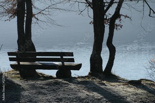 Alte romantische Sitzbank unter Bäumen am Schluchsee/Schwarzwald photo