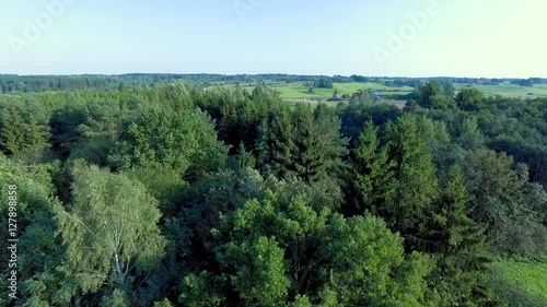 flying above green forest at summer time photo