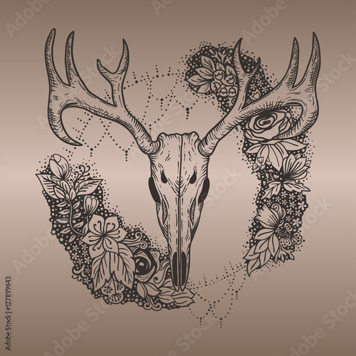 stylized Deer Skull and flowers hand drawn original illustration. design for clothing print, postcards, cards, cover, tattoo design bohemian boho outline style. illustration on gradient background