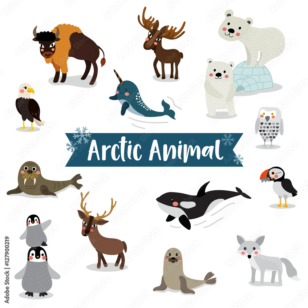 Arctic Animal cartoon on white background. Penguin, Polar Bear, Reindeer.  Walrus. Moose. Snowy Owl. Arctic Fox. Eagle. Killer whale. Bison. Seal.  Puffin. Narwhal. Vector illustration. Stock Vector | Adobe Stock
