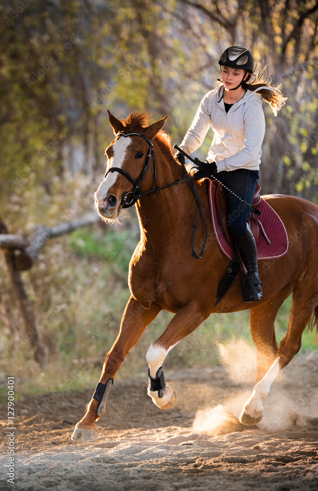Fototapeta premium Young girl riding a horse