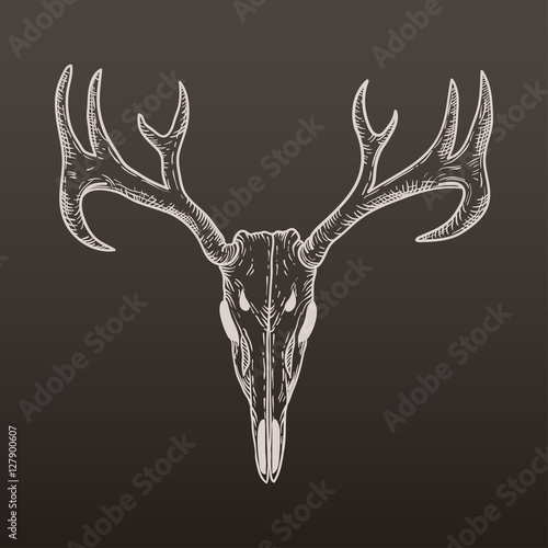 stylized Deer Skull sketch hand drawn original illustration. design for clothing print, postcards, cards, cover, tattoo design bohemian boho outline style. illustration on gradient background