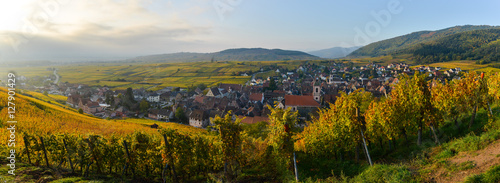 Alsace village, with vineyard, Riquewhir. France