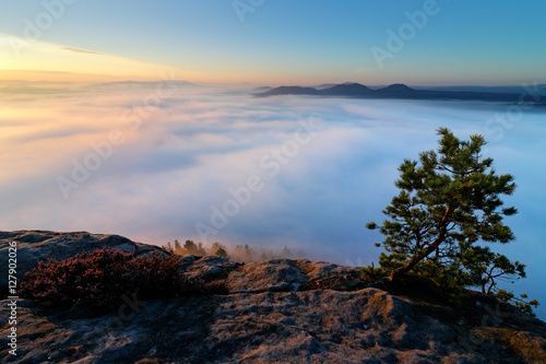 Sandstone peaks increased from foggy background, the fog is orange due to sunrise, sun on the sky, Germany. Beautiful morning view over sandstone cliff into deep misty valley in Saxony Switzerland.